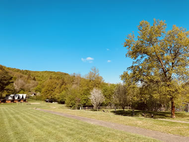 Sommer im Ferienzentrum Albert Schweitzer in Vöhl Eine grüne Sommerlandschaft mit Bäumen und Wiesen im Ferienzentrum Albert Schweitzer in Vöhl unter blauem Himmel.