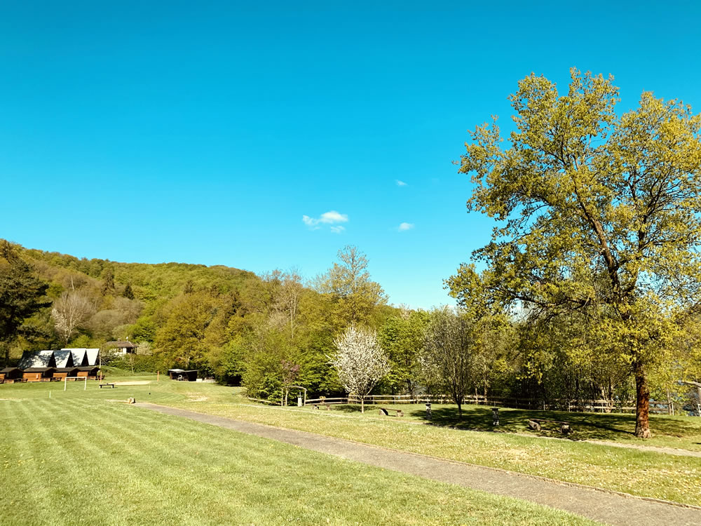 Sommer im Ferienzentrum Albert Schweitzer in Vöhl Eine grüne Sommerlandschaft mit Bäumen und Wiesen im Ferienzentrum Albert Schweitzer in Vöhl unter blauem Himmel.